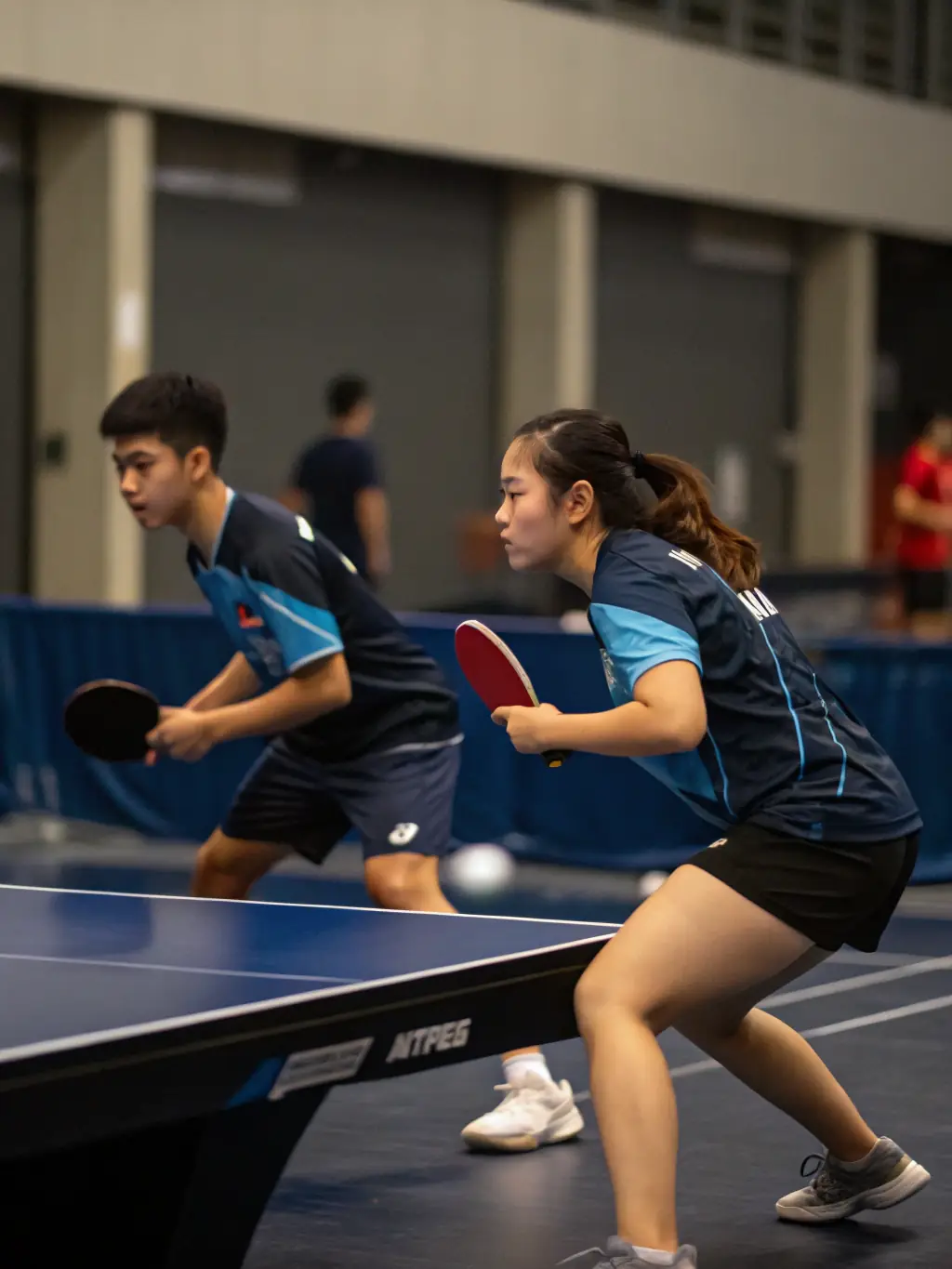 An image of a local table tennis tournament organized by ATTC PLEAUX, featuring players of all ages and skill levels competing in a friendly atmosphere.